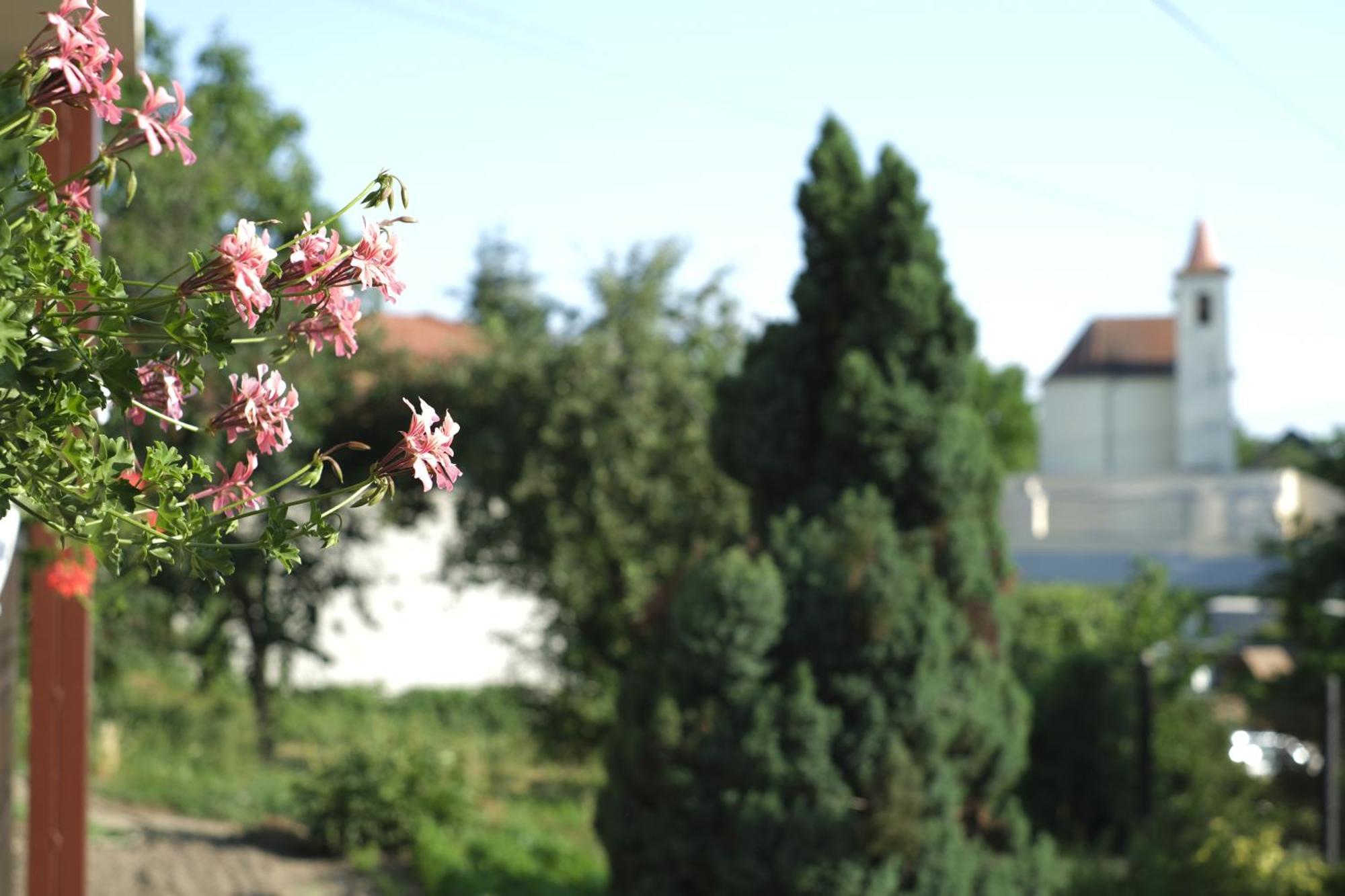 Panorama Apartmanhaz Sárvár Zewnętrze zdjęcie