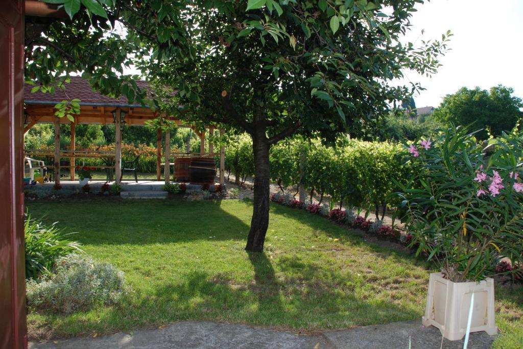 Panorama Apartmanhaz Sárvár Zewnętrze zdjęcie